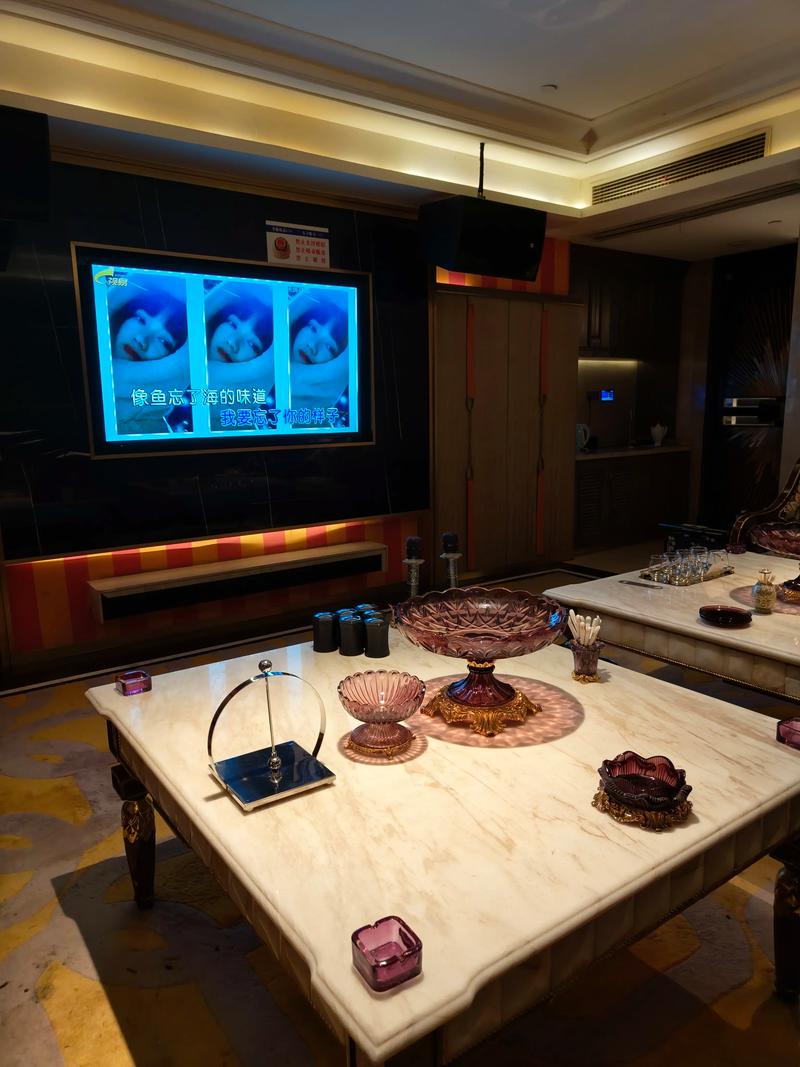 渭南商务ktv功能解析及意义介绍-蒲城县ktv预订